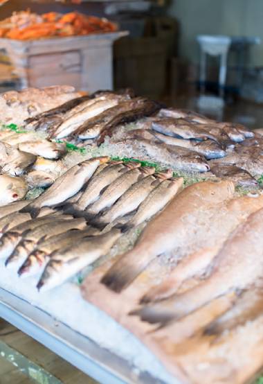 cold and frozen food