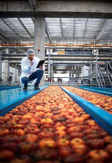 food distribution and processing